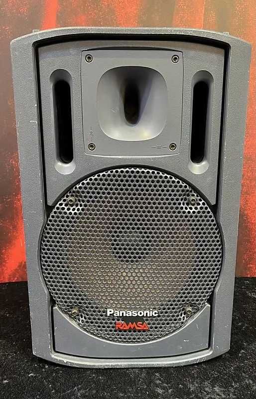 Panasonic Ramsa 15"