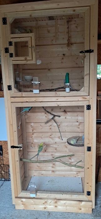 Woliera papugi faliste