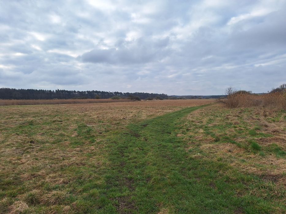 Sprzedam łąkę 2.72ha