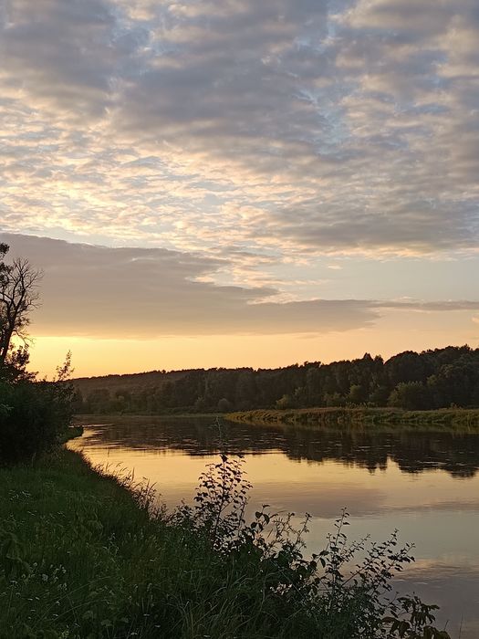 Usługi noclegowe