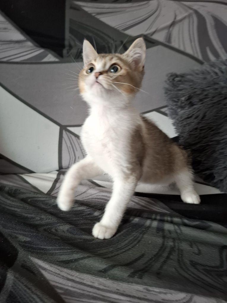 Macho muito lindo