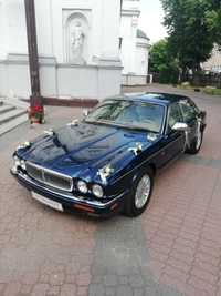 Do Ślubu Daimler / Jaguar XJ zawiozę do ślubu