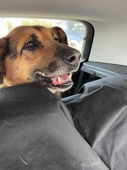 Sunia -  lek na całe zło