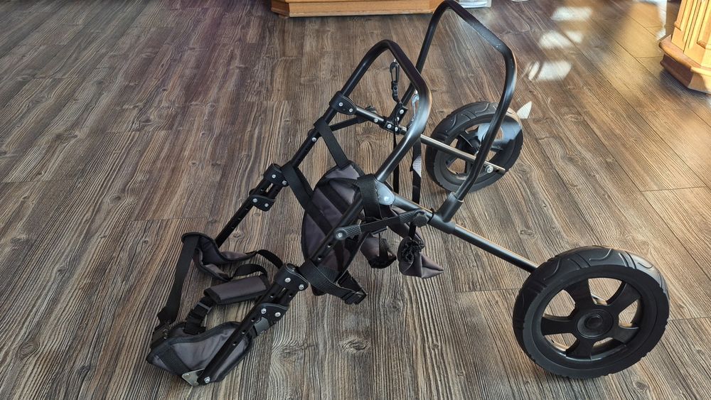 Wózek inwalidzki dla psa