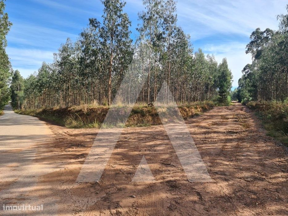 Terreno em Pinheiro da Bemposta