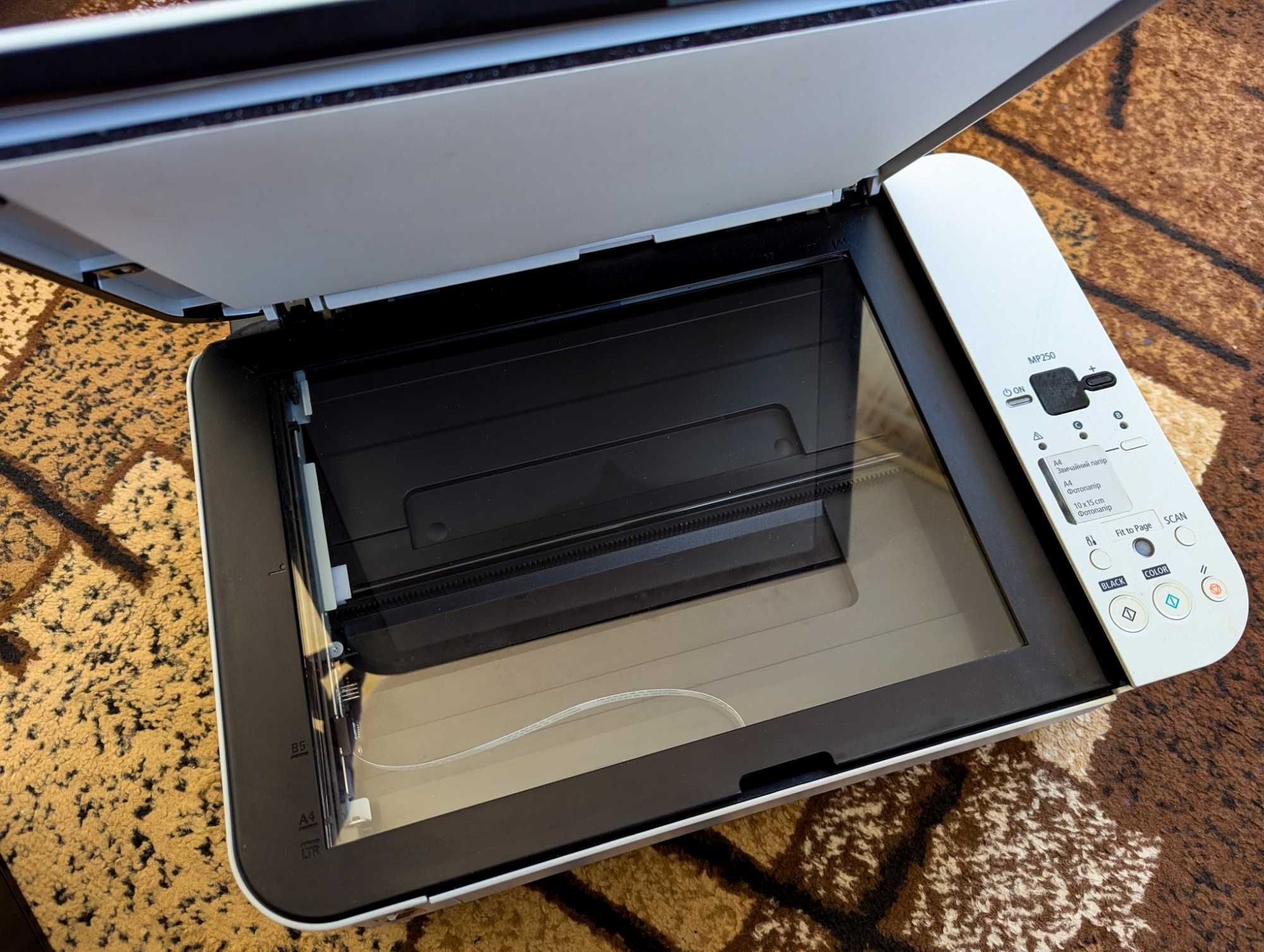EPSON Stylus PHOTO R295 та CANON MP250