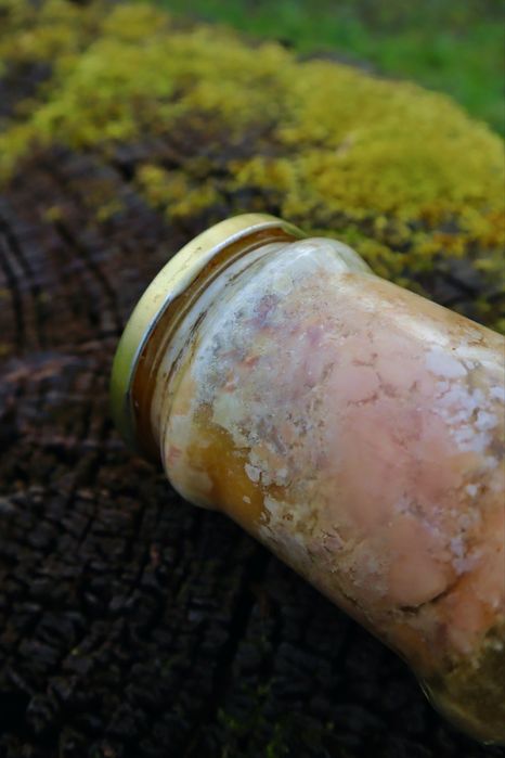 Печень трески 0.5 кг (свежее сырье)