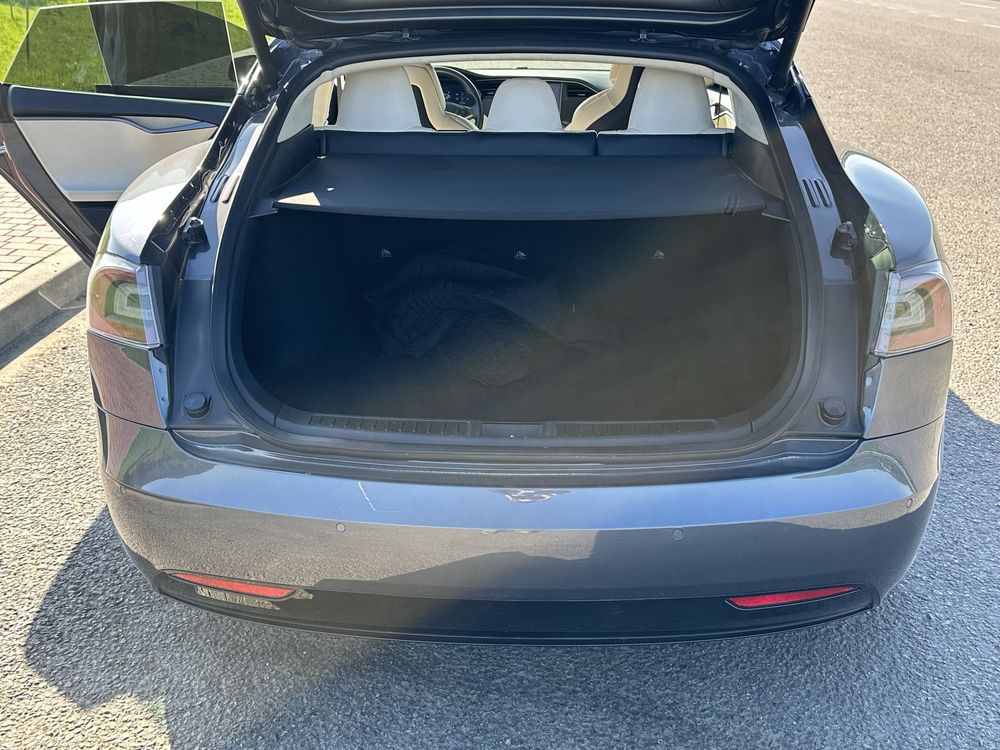 Tesla model s 100d EVROPA