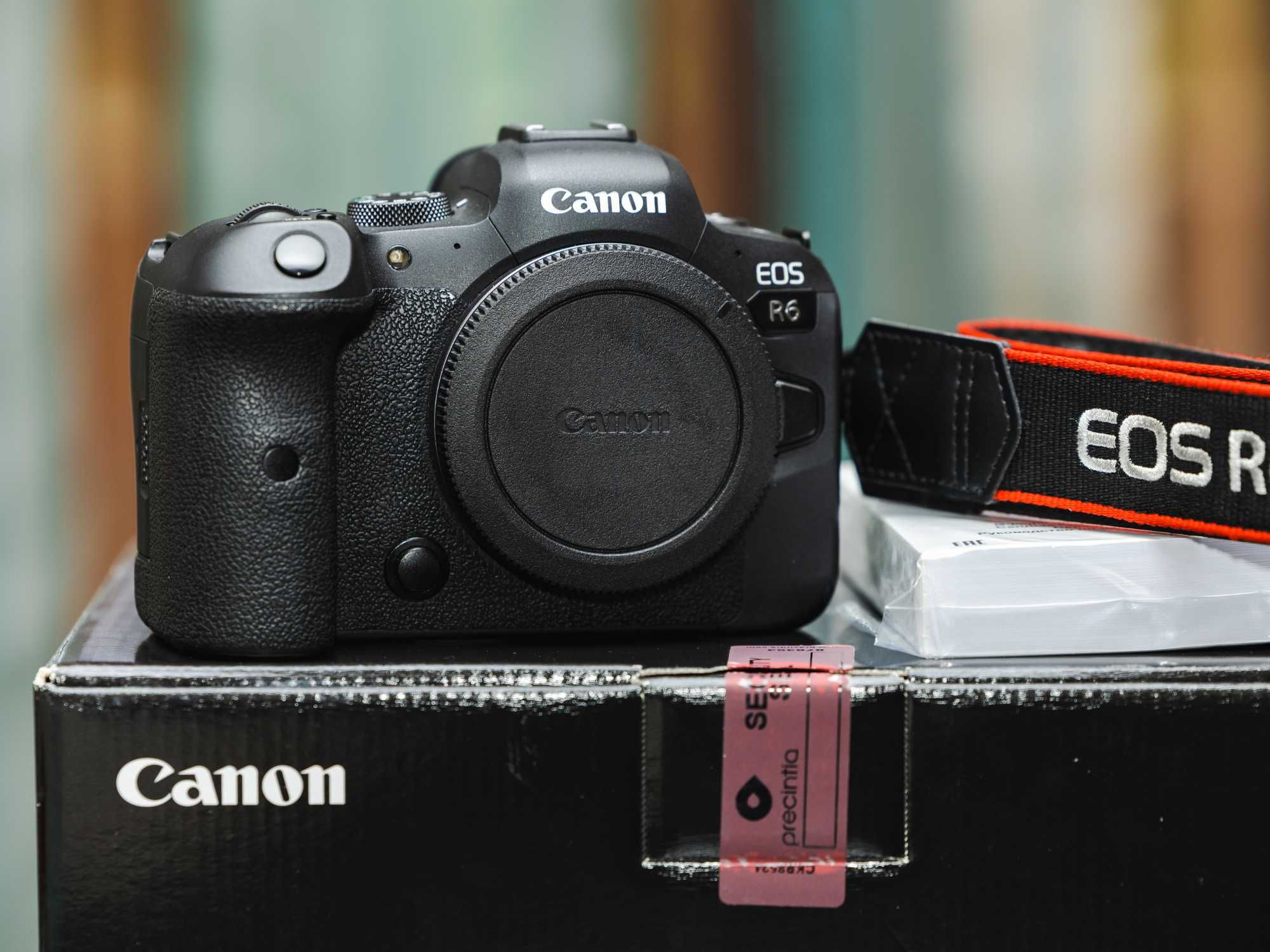 Canon EOS R6 ( Corpo )