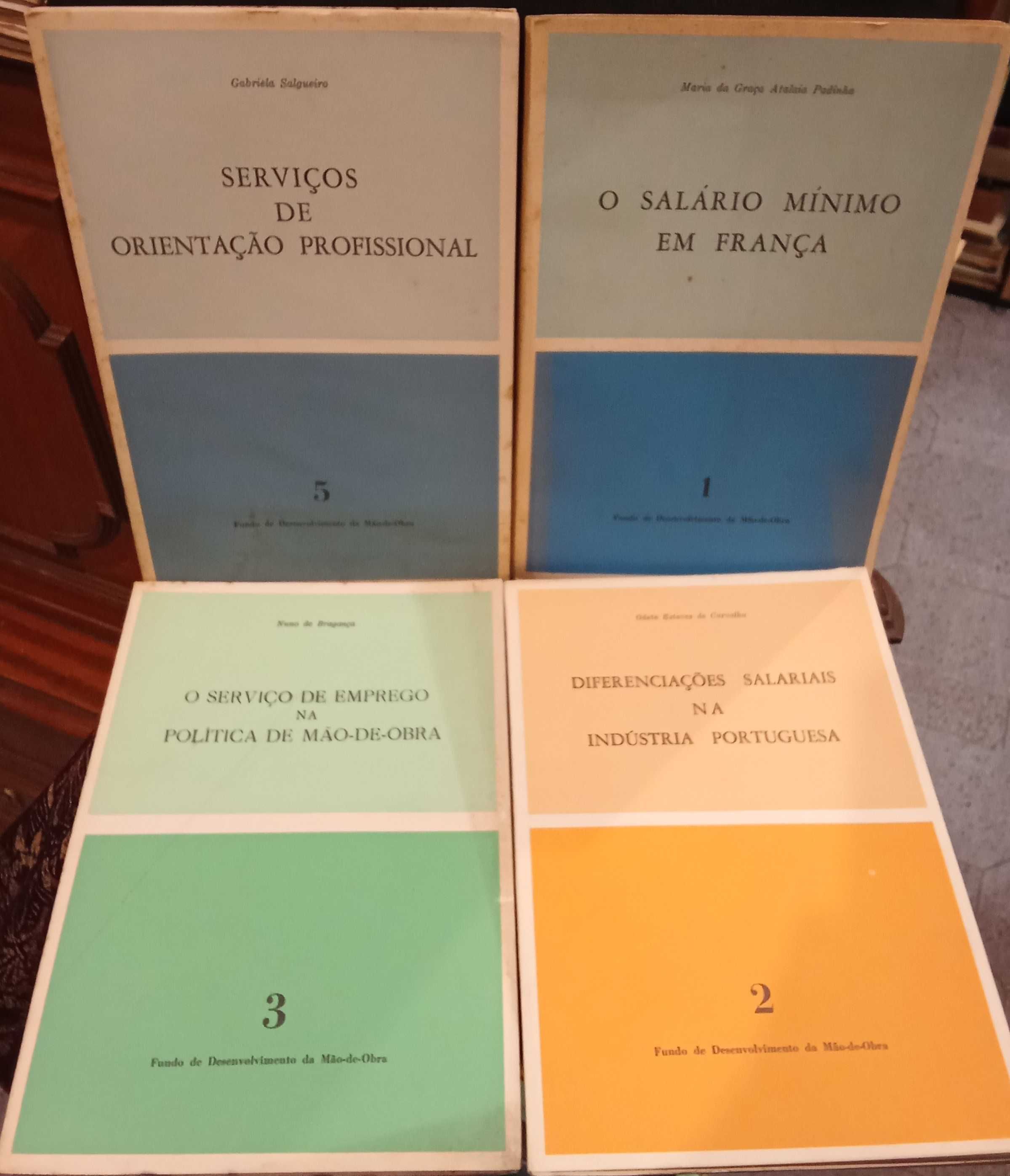 Fundo de Desenvolvimento de Mão-de-Obra (4 exemplares)