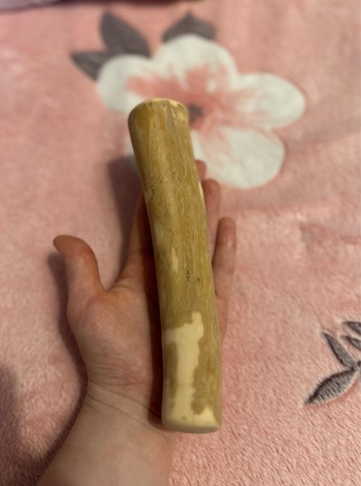 x5 Patyk z Drzewa Kawowego Naturalny Gryzak dla Psa L