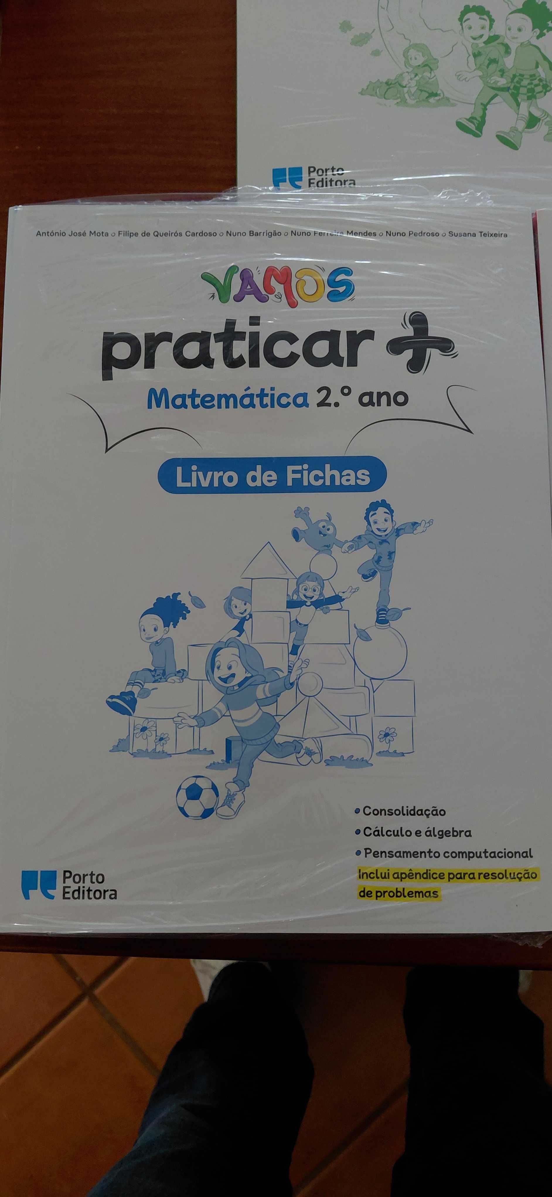 Livros de Fichas 2 ano