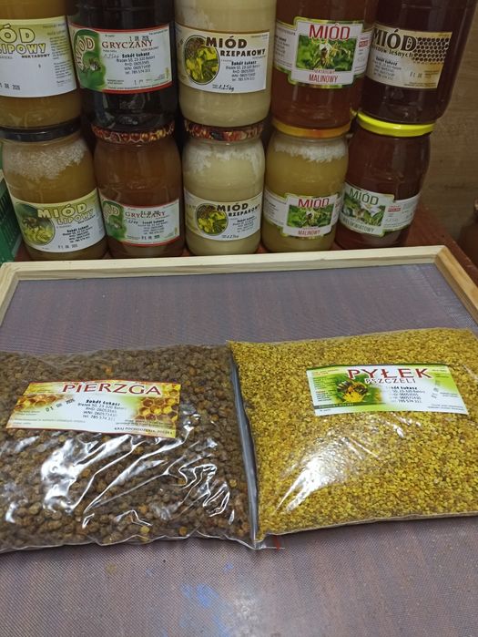 Miód mniszkowy z własnej pasieki 1, 25 kg