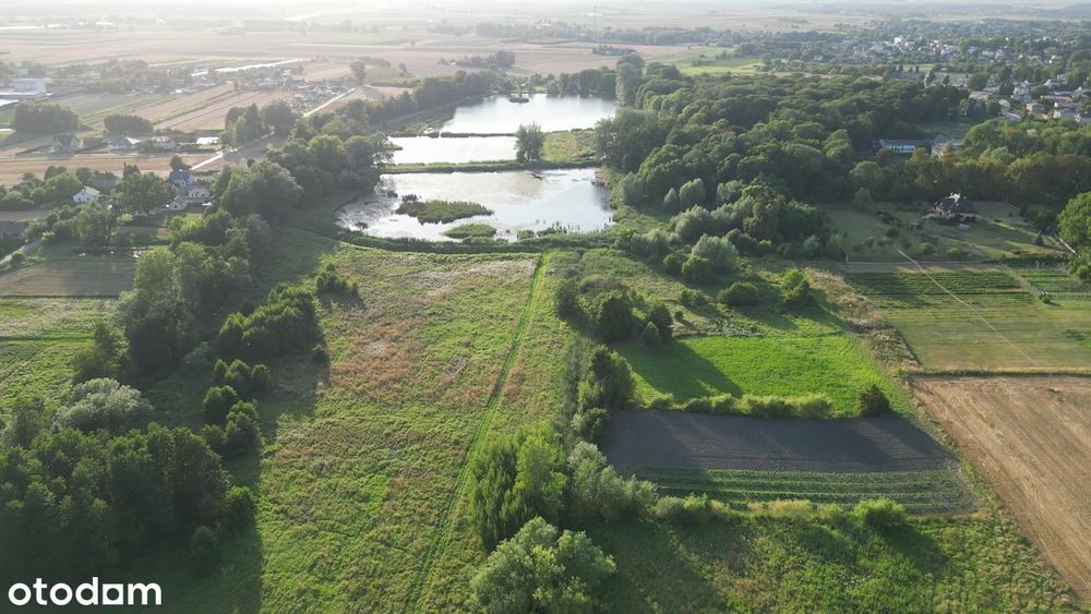 Piękne działki 86a Olesin, blisko Pałac Potockich, stawy, park