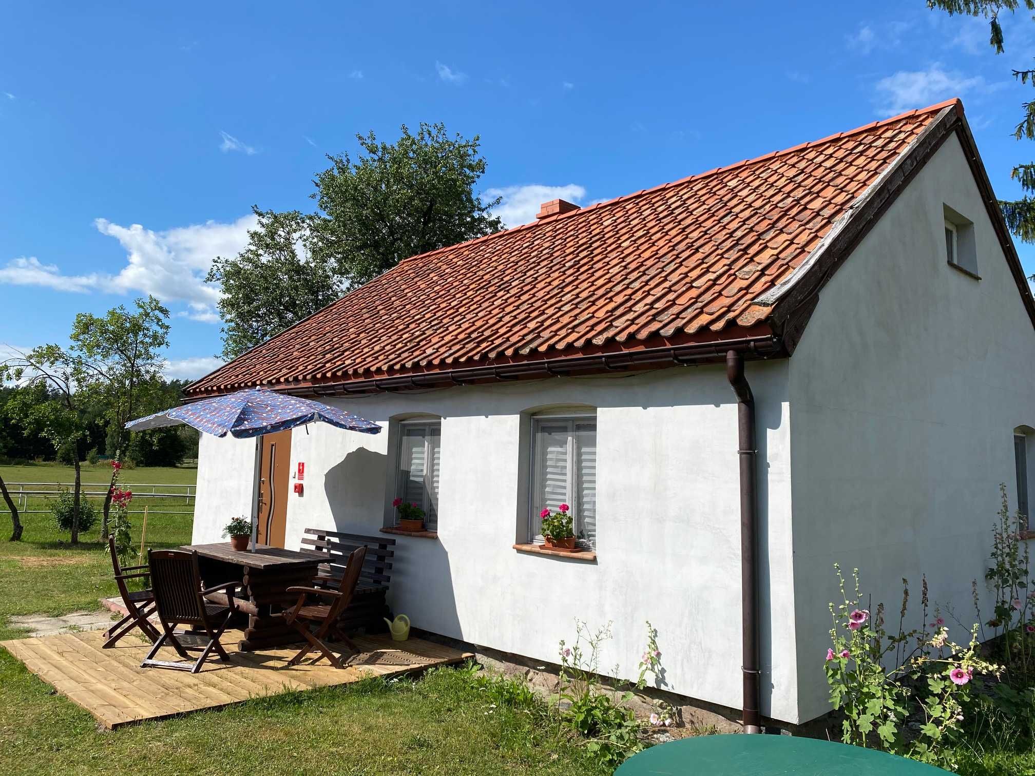 Dom Domek do wynajęcia, Mazury stajnia jazdy konne, łódka łowienie ryb