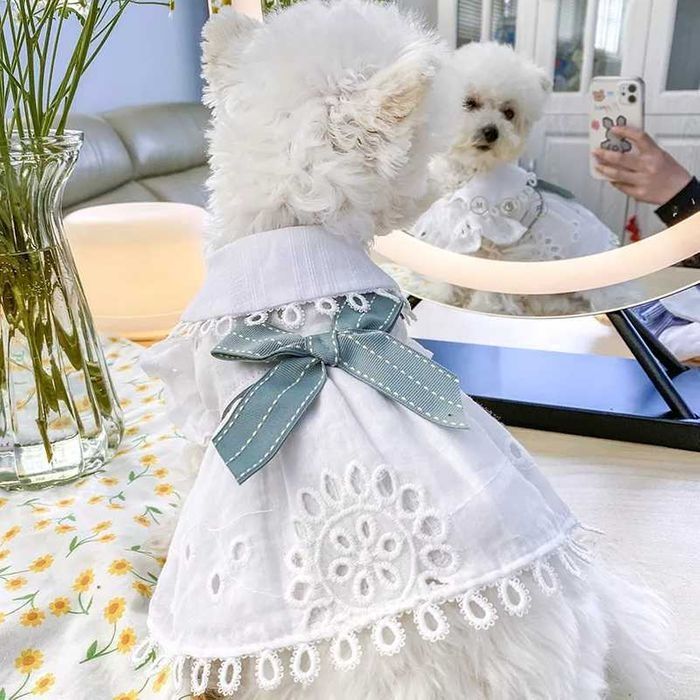 Платье для Собаки 2-3.5 кг (S), Костюм для Животных