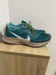 Nike Pegasus Trail 3