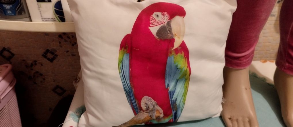 Poduszka z papugą Arą z Australii