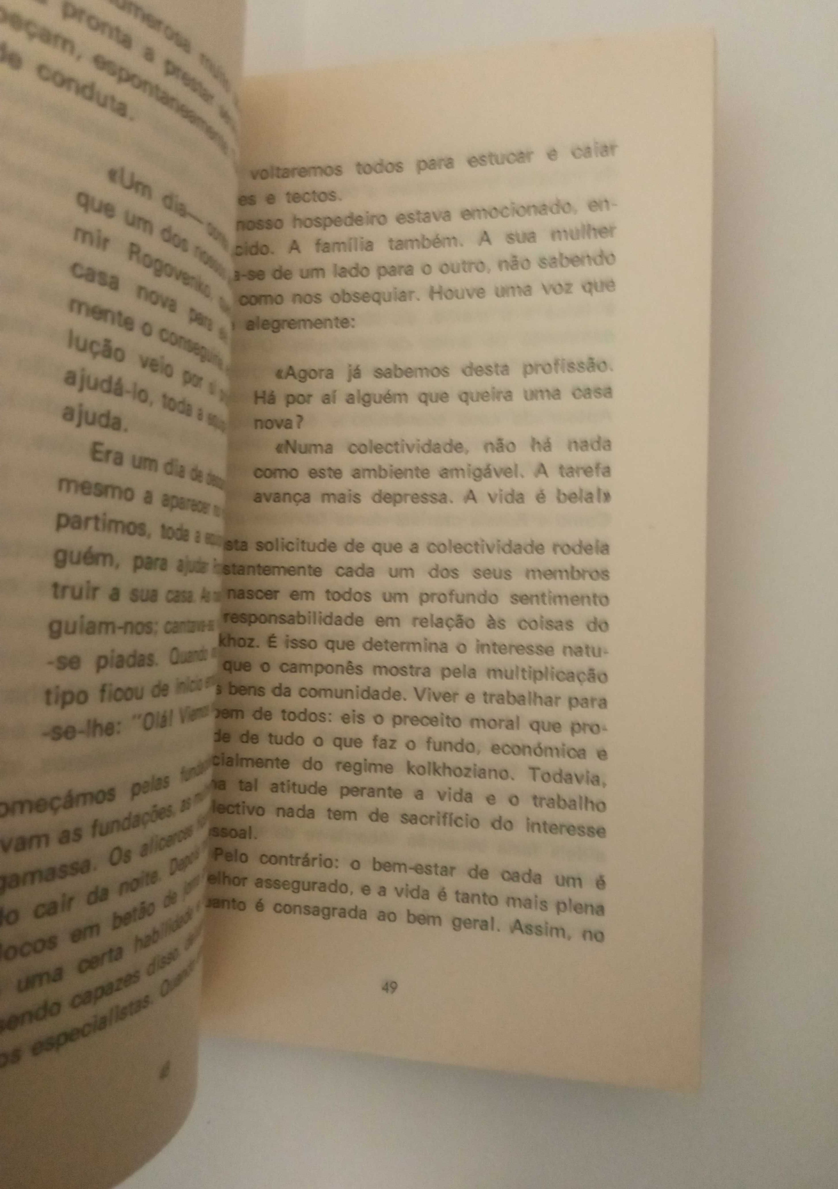 A aldeia Soviética, de Alexéi Emélianov