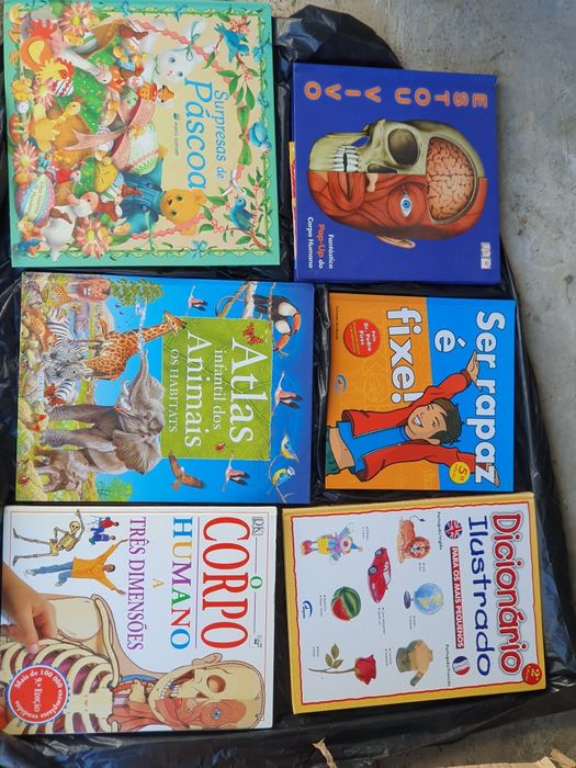 Livros diversos em bom estado