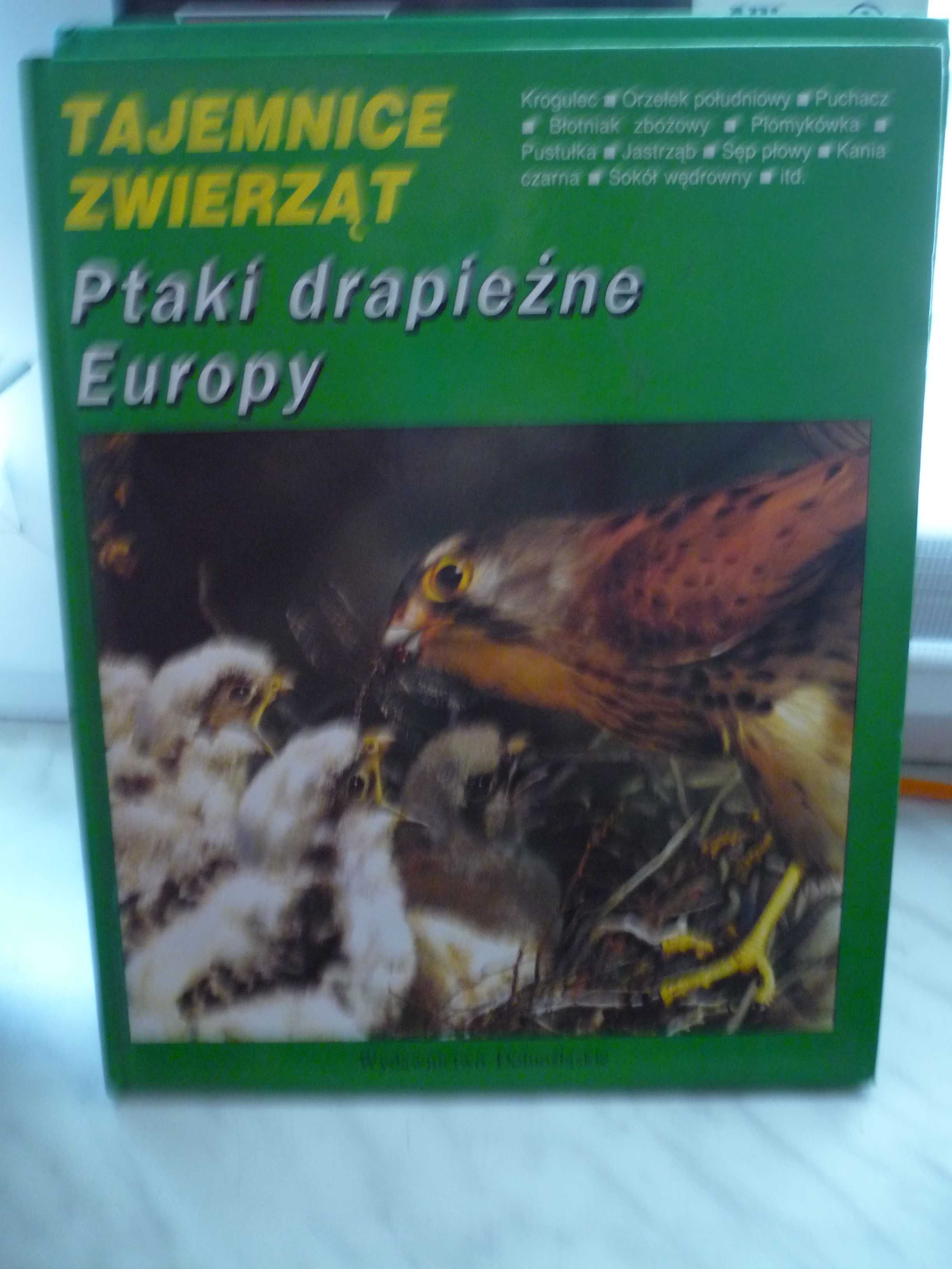 Ptaki drapieżne Europy , seria : Tajemnice zwierząt.