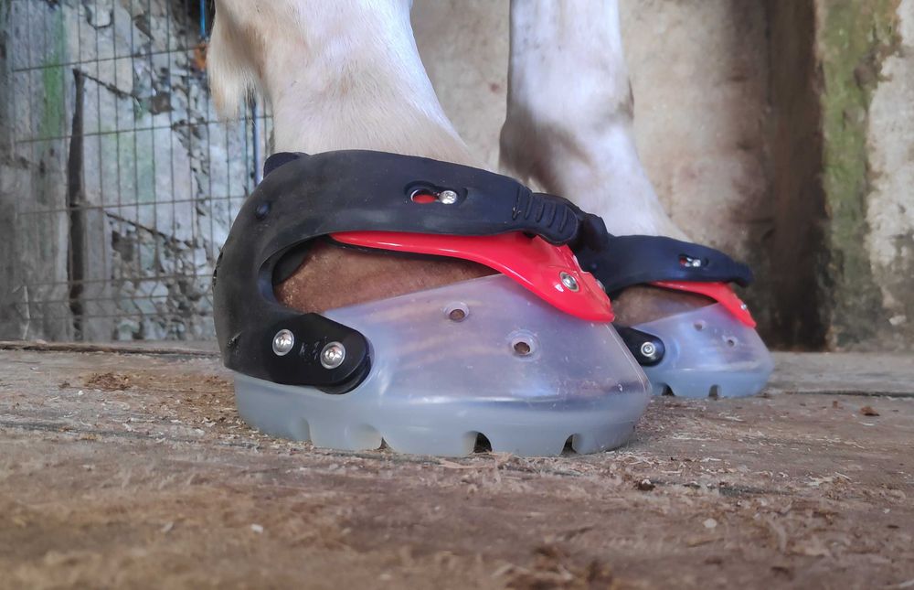 Aparo / Recorte de Cascos de Cavalo em Barefoot
