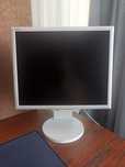 Монитор NEC MultiSync LCD1970NXp (19", DVI/VGA)
