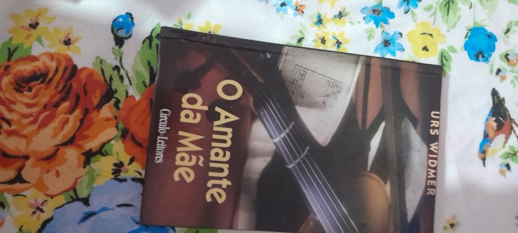 Livro O amante da mãe