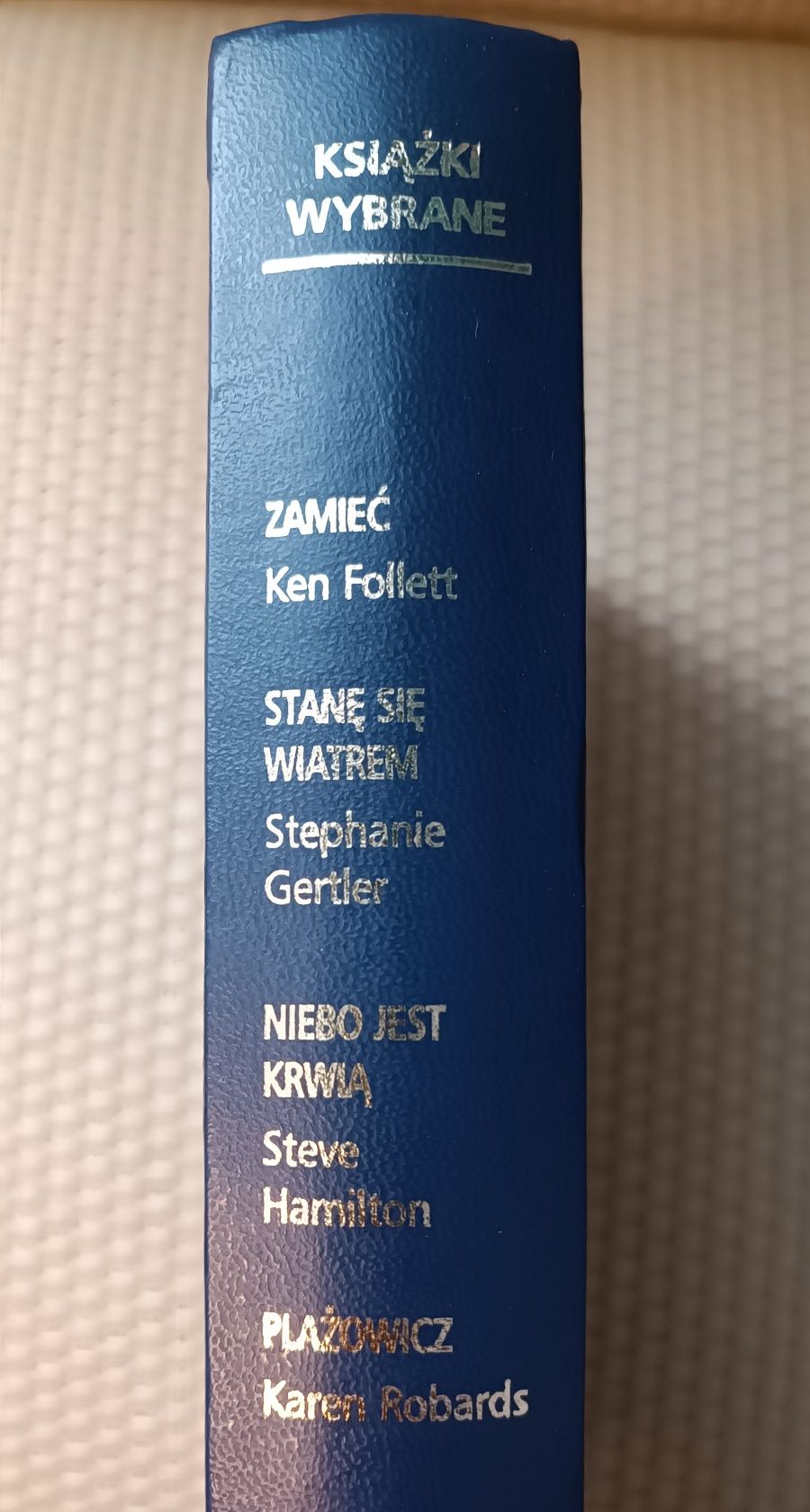 Zamieć Ken Follett, Stanie się wiatrem, Niebo jest krwią, Plazowicz