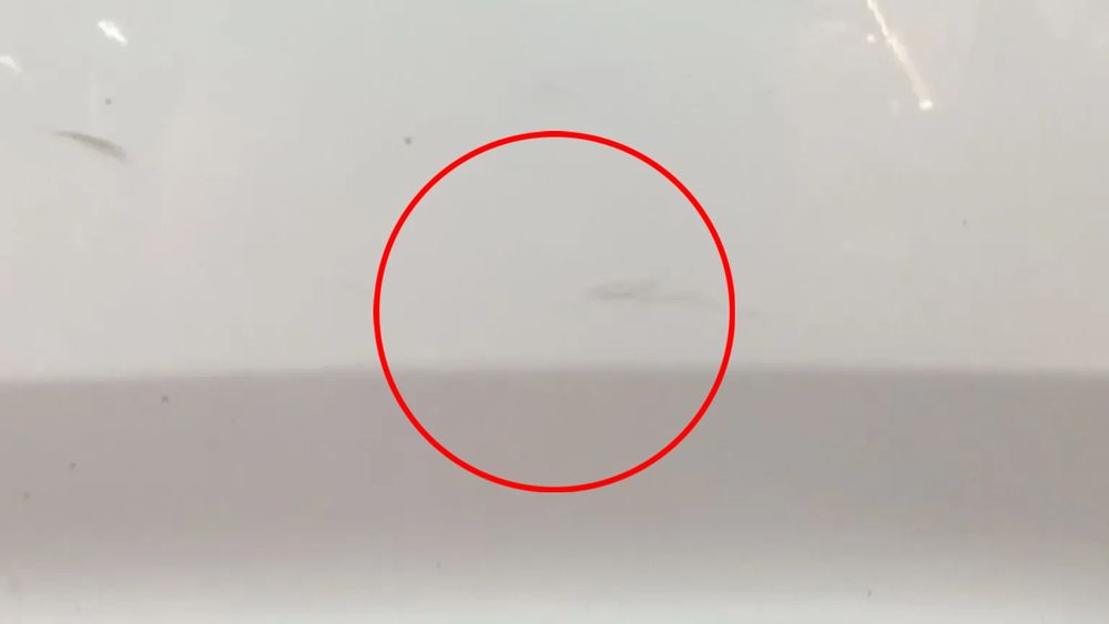 Porta trás esquerda CITROËN C4 Cactus