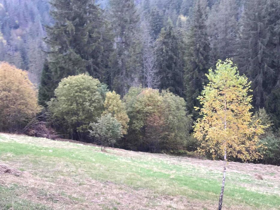 Продаж земельної ділянки Славсько ,Стрийського р-н,Львівської області