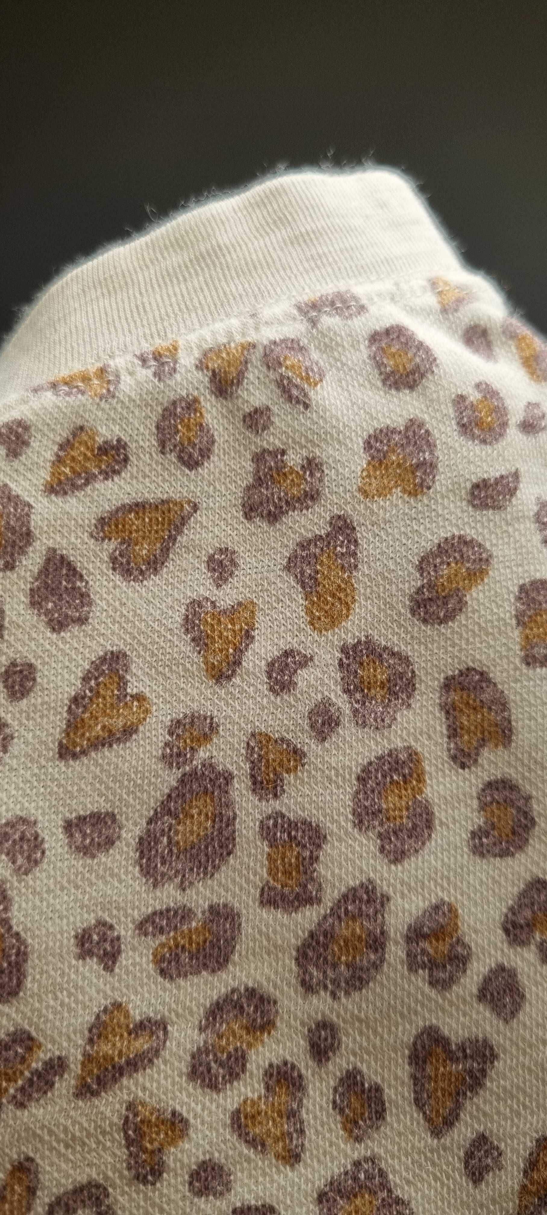 Spodnie legginsy wełniane Cubus 74 do 80 panterka jak Reflex Reima
