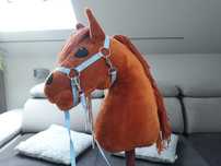 Hobby horse konik