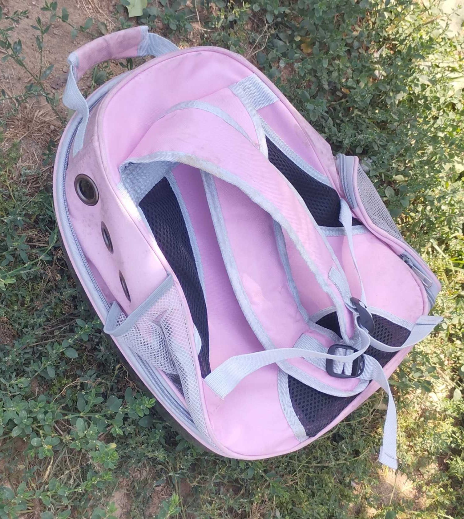 Mochila transportadora animais/Pets