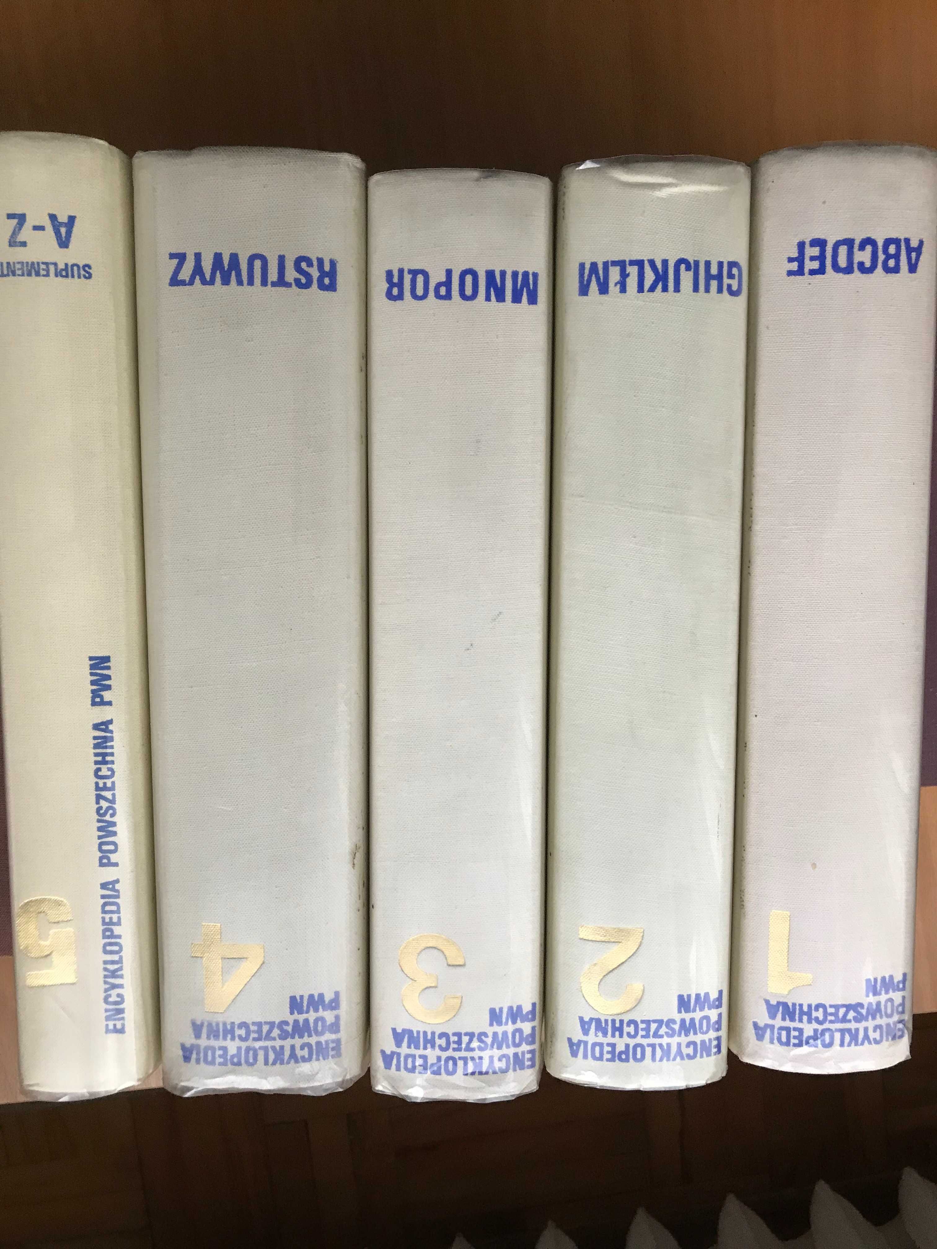 Encyklopedia Powszechna PWN - wyd. I z 1973r
