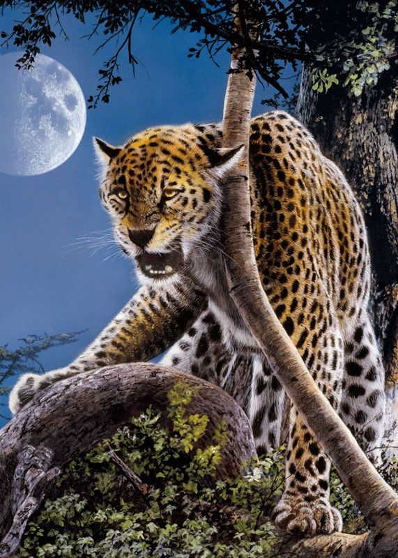 PUZZLE 1000pc SINGLE CHEETAH brilha no escuro