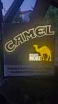 Neon reklama CAMEL