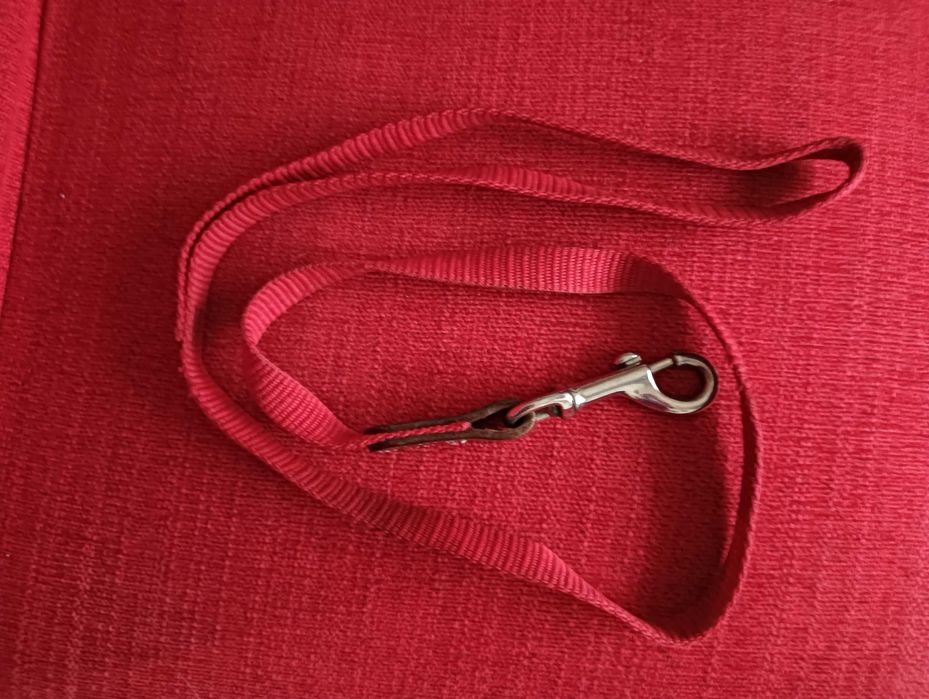 Trela para cão vermelha 1m