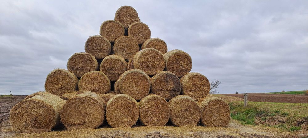 Witam sprzedam słomę sucho jak siarka.