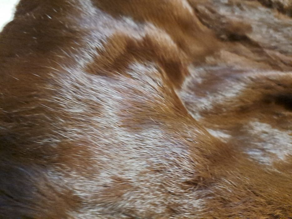 Kożuch naturalny damski TANIO 46