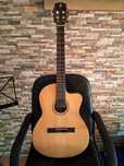 Guitarra Alvarez RC26HCE