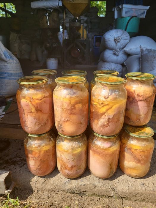 Тушонка індича та куряча домашня все годовання екокормами.