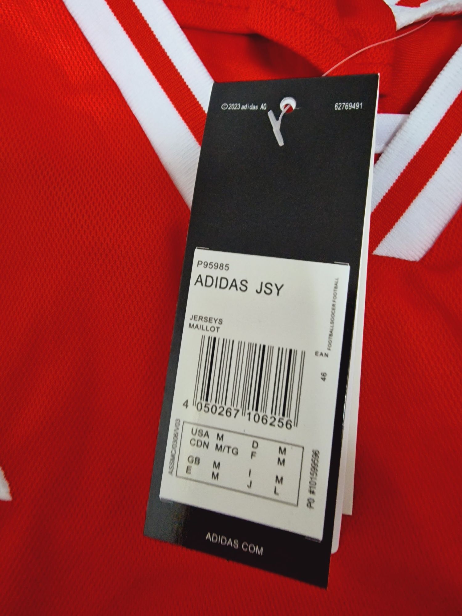 Benfica nova com