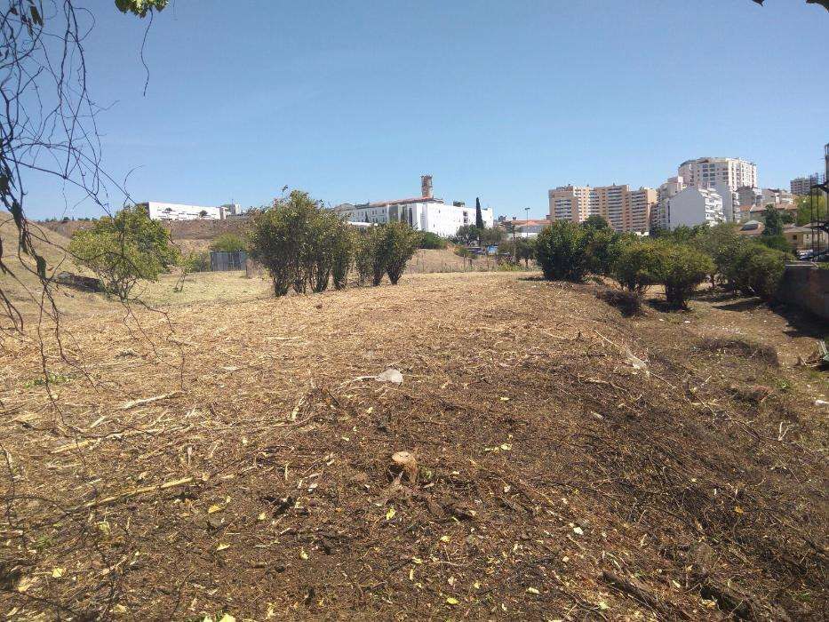 Serviço de limpezas de Terrenos e Corte de árvores.