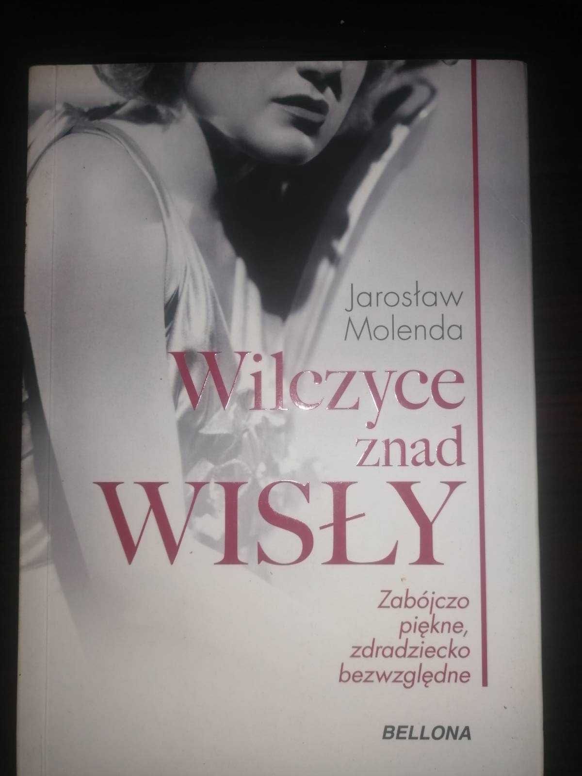 Jarosław Molenda - Wilczyce znad Wisły