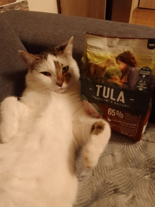 Karma dla kota Tula
