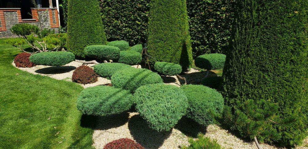 Топіарна стрижка рослин  автоматичний полив стрижка газону