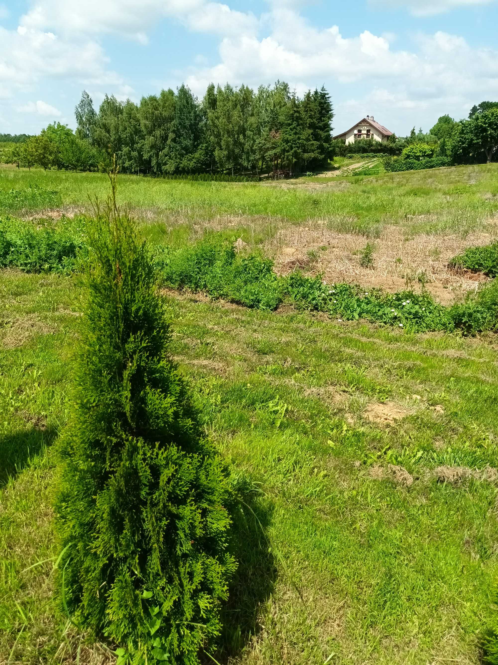 Działka budowlana 1000m2 prąd, woda, gaz na działce, utwardzona droga