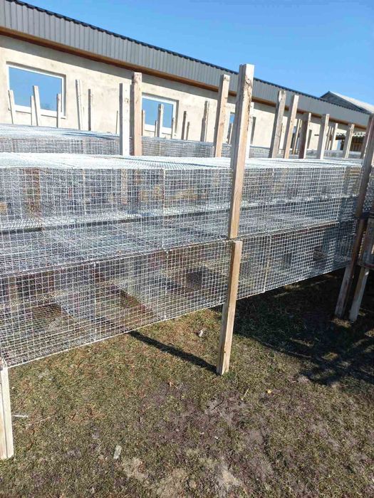 Клітки для кролів