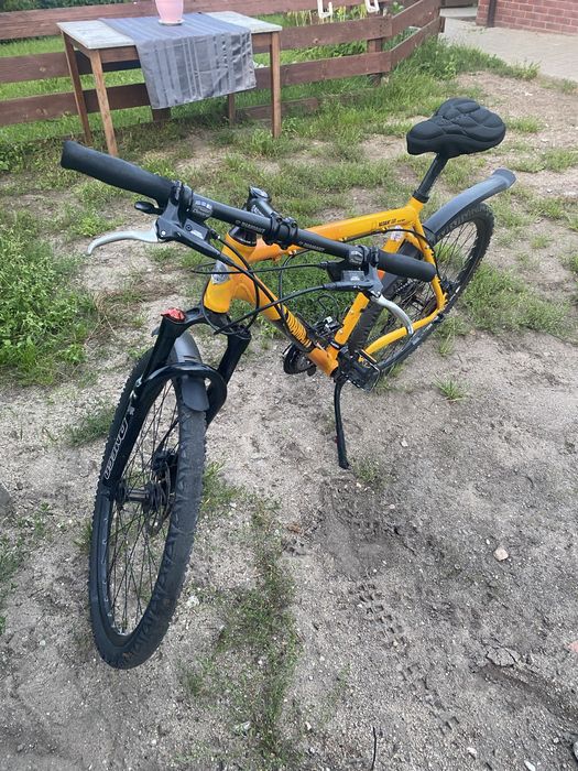 rower trek diamant cut